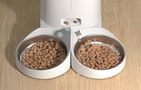 Automatic Pet Feeder Rojeco 4L Button Version (double bowl), Rojeco PTM-003 dual