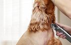 Trimmer / Pet clipper Oneisall RFC-676, Oneisall RFC-676
