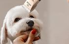 Trimmer / Pet clipper Oneisall X2, Oneisall X2