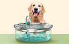 Pet water fountain 7L Oneisall, Oneisall PWF-002