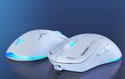 Onikuma CW917 gaming mouse (white), ONIKUMA CW917 2.4G+Wired Whi