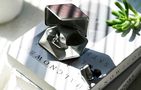TWS HiFiMAN Svanar LE wireless headphones, HiFiMAN Svanar Wireless LE