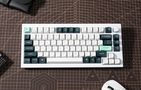 Keychron Q1 HE Wireless Keyboard RGB Nebula Magnetic Switch (White) [Q1H-P1]., Keychron Q1H-P1