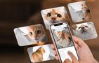 Catlink Scooper Pro Ultra intelligent self-cleaning cat litter box with AI camera, Catlink CL-CG-01