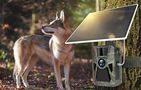 KJK FKPCAM Photo Camera with Solar Panel (FK-HC10)., KJK FK-HC10-EU