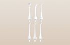 Water flosser with nozzles set Bitvae BV 5020E White, Bitvae BV 5020E White