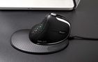 Wireless Ergonomic Mouse Delux M618XSD BT+2.4G RGB, Delux M618XSD (Black)