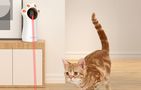 Rojeco interactive laser cat toy, Rojeco RWJ-20