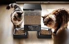 Automatic double pet feeder  WiFi Oneisall, Oneisall PFD-002 Pro