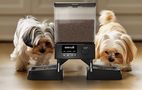Automatic double pet feeder  WiFi Oneisall, Oneisall PFD-002 Pro