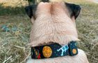 Nylon dog collar with QR code Waudog "NASA" size XL, Waudog 4756