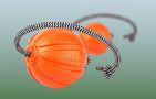 Ball on a rope for small and medium dogs Liker Cord 7 Waudog, Waudog 6296