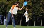 Frisbee/disc Waudog 24 cm, blue, Waudog 62472