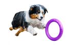 Wheel / Exercise toy for dog Puller Midi 19.5 cm, Puller 6488pl