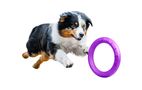 Wheel / Exercise toy for dog Puller Micro 12.5 cm, Puller 6489pl