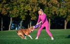 Wheel / Exercise toy for dog Puller Maxi 30 cm, Puller 6492pl