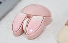 MOFII Wireless Mouse + Bluetooth Rabbit M6DM Oil Painting (White-Pink), MOFII M6DM Oil Pink