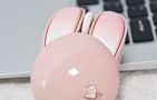 MOFII Wireless Mouse + Bluetooth Rabbit M6DM Oil Painting (White-Pink), MOFII M6DM Oil Pink