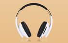 Wireless Headphones PowerLocus P2 (black-white), PowerLocus pwl-p2-blackwhite