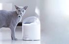 Water Fountain for pets Catlink Pure 2, Catlink "CL-WA-01 "