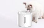 Petkit Eversweer Solo 2 smart pet fountain/drinker, Petkit SOLO 2