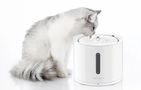 Petkit Eversweer Solo 2 smart pet fountain/drinker, Petkit SOLO 2