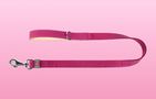 WAUDOG natural leather dog leash 25 mm wide, 122 cm long pink, Waudog 08157