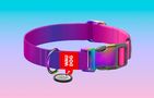 Waudog gradient nylon dog collar with QR code, purple , size L, Waudog 46539