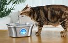 Petwant PWS-108 3.2L animal fountain/drinker, PetWant PWS-108