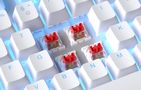 MageGee MK-STAR wired keyboard (blue and white), MageGee MK-STAR Bw Red