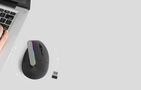 Wireless Vertical Mouse Delux M618DB BT4.0 + 2.4Ghz 4000DPI RGB, Delux M618DB