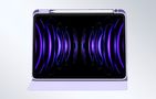 Baseus Minimalist Series IPad PRO 11"/Pad Air4/Air5 10.9" Magnetic protective case (purple), Baseus ARJS040905