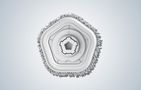 Mop Pad for Dreame W10  (2 pcs), Dreame RVM0