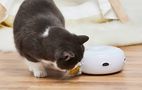 Intelligent cat toy Homerunpet CT10, Homerunpet CT10