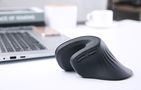 Wireless Vertical Mouse Dareu LM109 Magic Hand Bluetooth + 2.4G (black), Dareu TM209B08502R