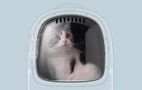 Pet Travel Backpack PetKit Breezy 2 (Desert Moro), Petkit Breezy 2-DC