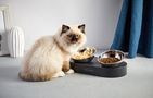 Bowls for dogs and cats Petkit Fresh Nano, Petkit Fresh Nano Metal