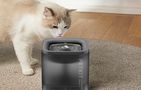 Fountain/ drinker for Dog and Cat PetKit Eversweet SOLO SE (dark gray), Petkit P4103S