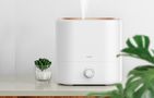 Humidifier Deerma ST635W, Deerma ST635W