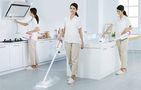 Multifunctional steammer DEERMA ZQ610, Deerma ZQ610