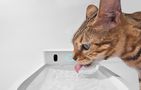 Water Fountain for pets Catlink Pure 3 Wireless, Catlink CL-WB-01