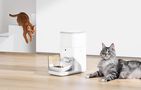 Smart food dispenser Fresh 2 CatLink FO4 PRO, Catlink 6972884750958