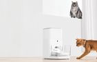 Smart food dispenser CatLink FO4 STD, Catlink 6972884750941