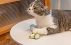Interactive Cat Toy Cheerble Wicked Mouse PLUS (Matcha Green), Cheerble CWJ01