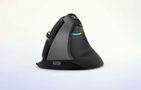 Wireless Vertical Mouse Delux M618Mini BT+2.4G RGB 4000DPI (Iron Gray), Delux M618Mini (Iron Gray)