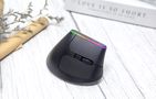 Wireless Vertical Mouse Delux M618C 2.4G 1600DPI RGB (black), Delux M618C Black