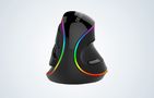 Wired Vertical Mouse Delux M618Plus 4000DPI RGB, Delux M618Plus