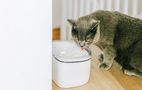 Water Fountain for pets Petoneer Fresco mini plus, Petoneer PN-110047