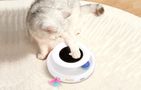 Rojeco 2 In 1 Interactive Cat Toys, Rojeco RWJ-10