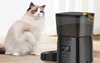 Rojeco 2L Automatic Pet Feeder Button Version, Rojeco RWSQ-02 Black